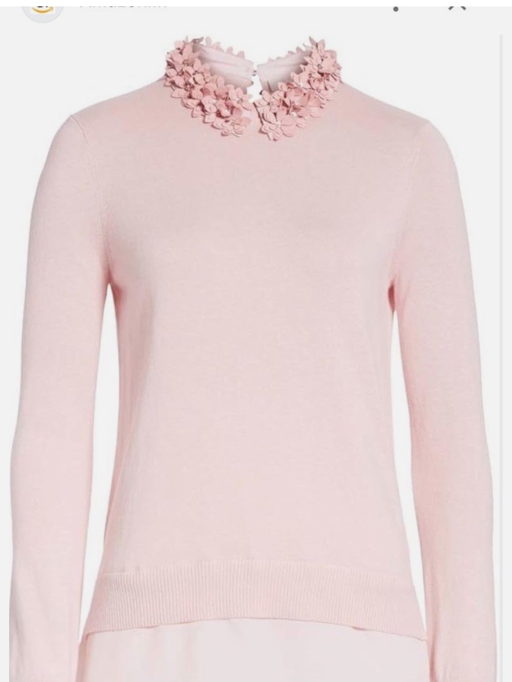 Preloved Ted Baker Nansea Floral Collar Sweater